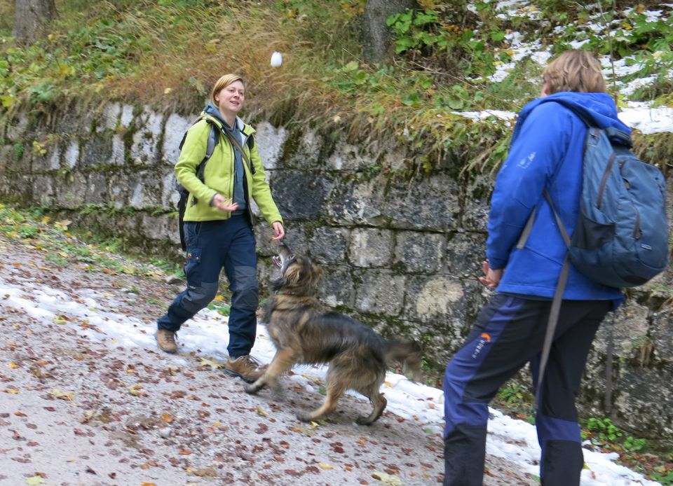 Ljubelj s Silvo, 23.10.2016 - foto povečava