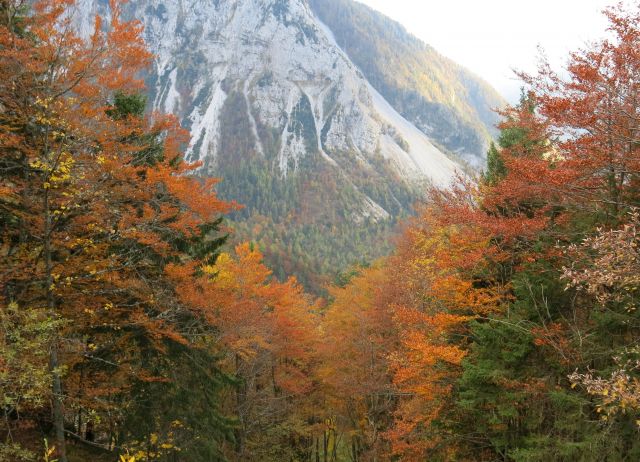 Ljubelj s Silvo, 23.10.2016 - foto