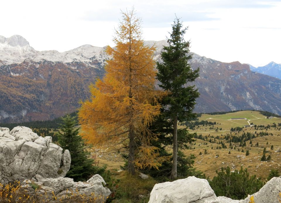 Terra Rosa, 29.10. 2016 - foto povečava