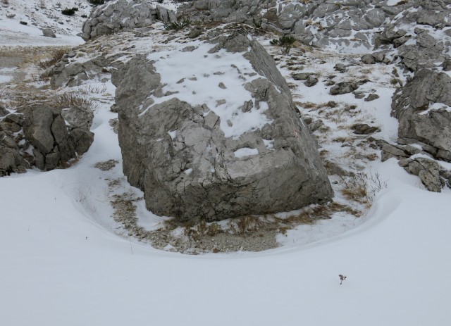 Viševnik in malo naokrog,  30.11.2016 - foto