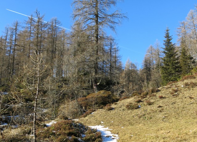 Debela peč - čez Klek,  04.12.2016 - foto