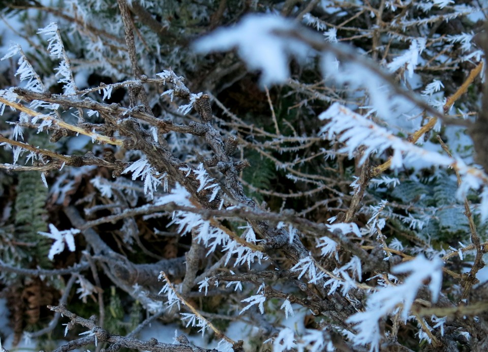 Debela peč - čez Klek,  04.12.2016 - foto povečava