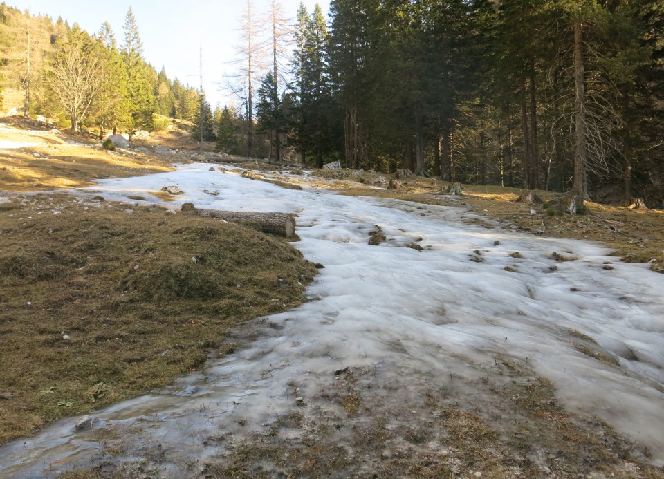 Košutnikov turn, 26.12.2016 - foto povečava