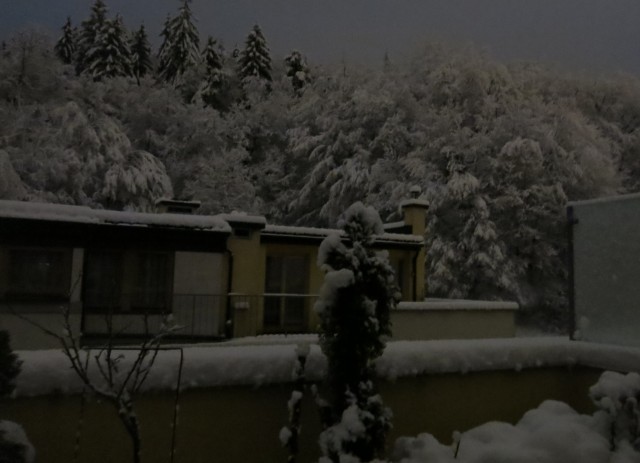 Golovec s Silvo, 14.01.2017 - foto