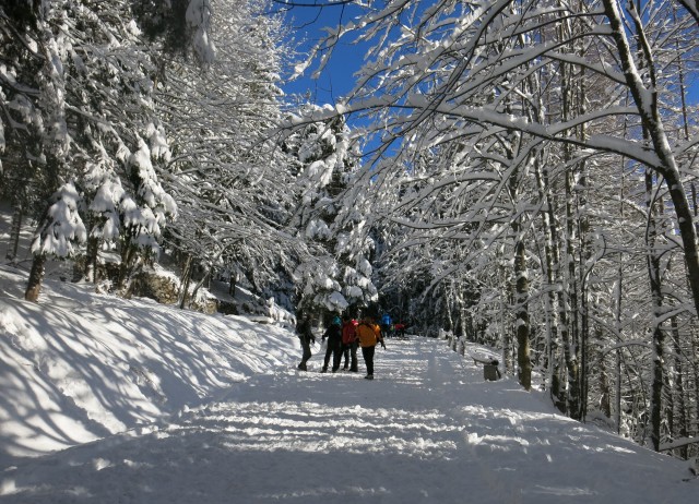 Povna peč, 15.01.2017 - foto