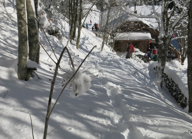 Povna peč, 15.01.2017 - foto