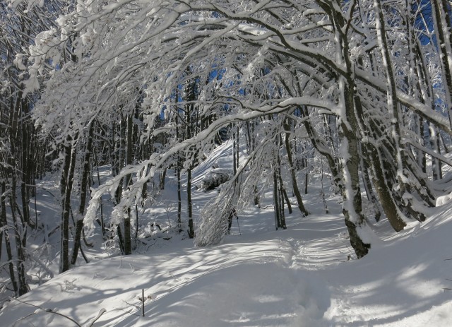 Povna peč, 15.01.2017 - foto