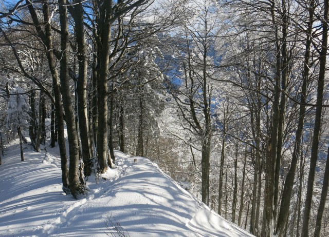 Povna peč, 15.01.2017 - foto