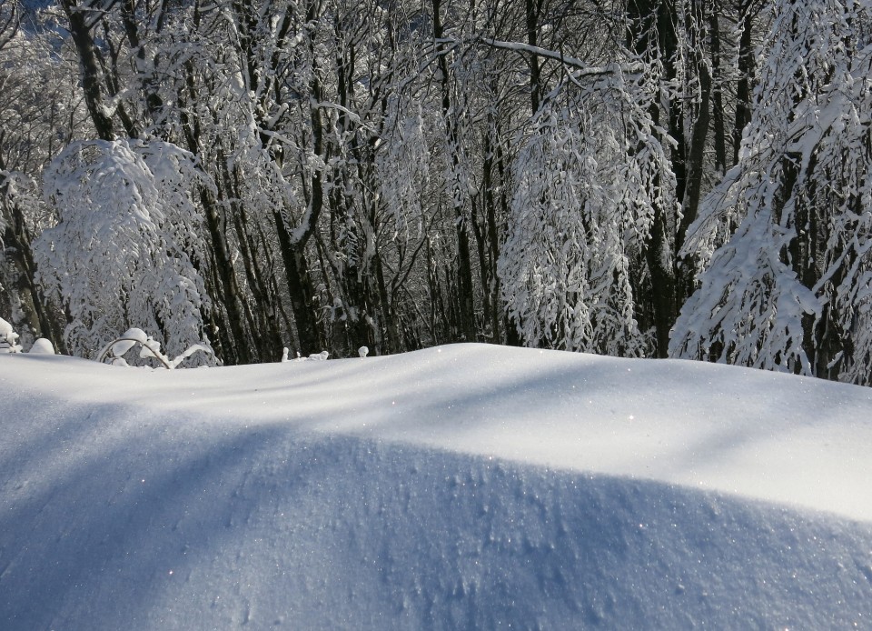 Povna peč, 15.01.2017 - foto povečava