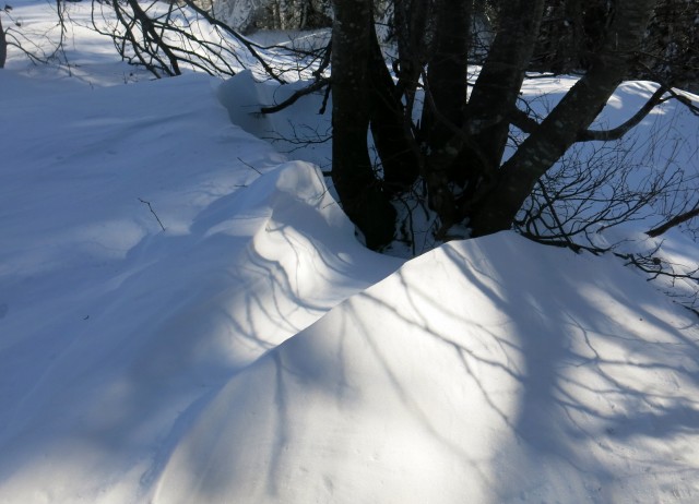 Povna peč, 15.01.2017 - foto