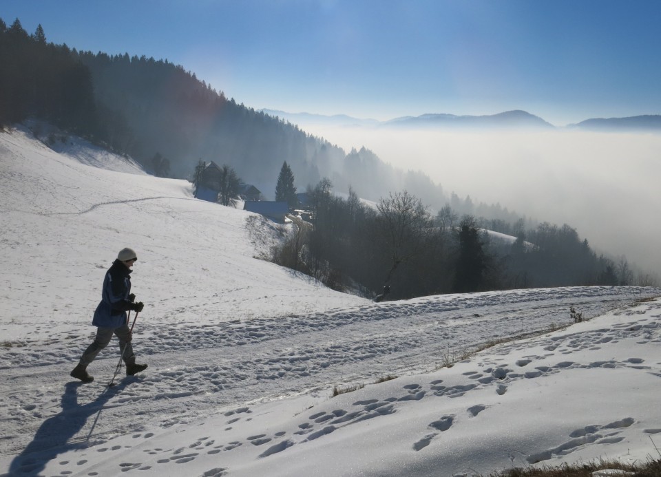 Megla z Lubnika  22.01.2017 - foto povečava