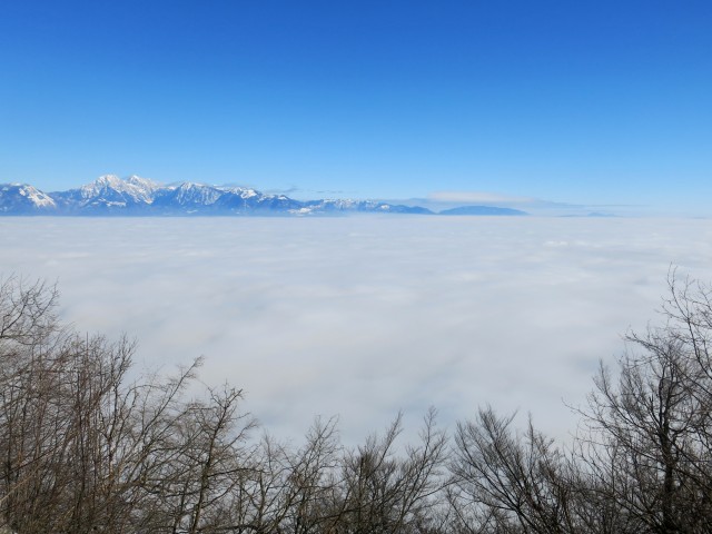 Megla z Lubnika  22.01.2017 - foto