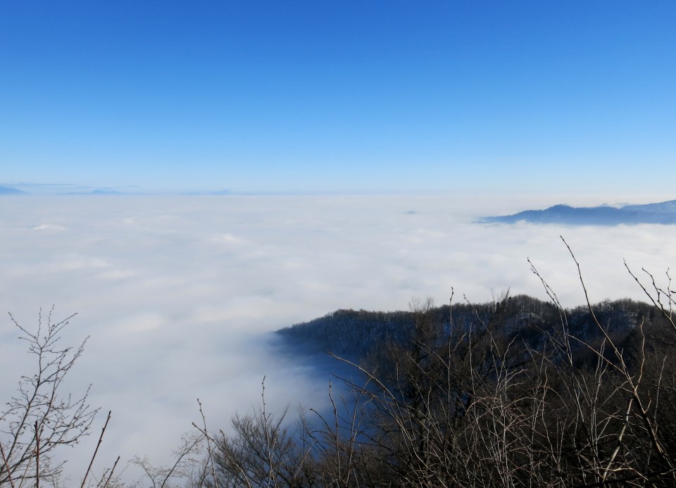 Megla z Lubnika  22.01.2017 - foto povečava