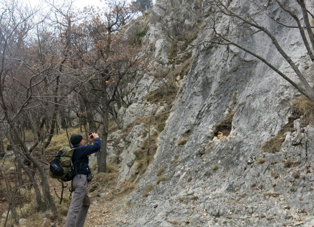 Glinščica, 28.01.2017 - foto