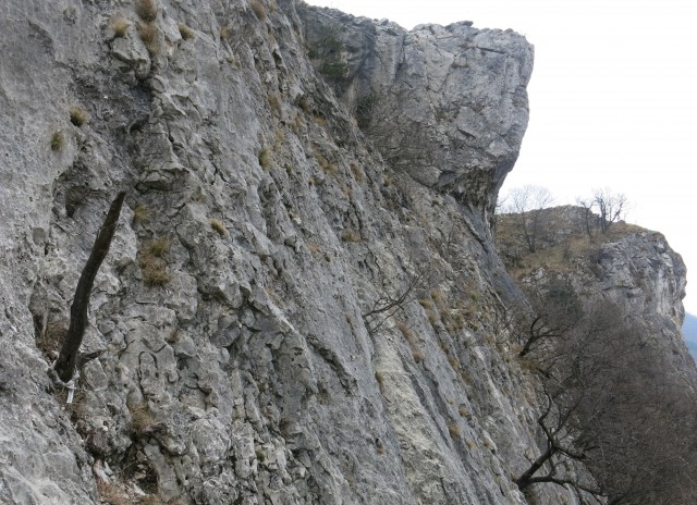 Glinščica, 28.01.2017 - foto