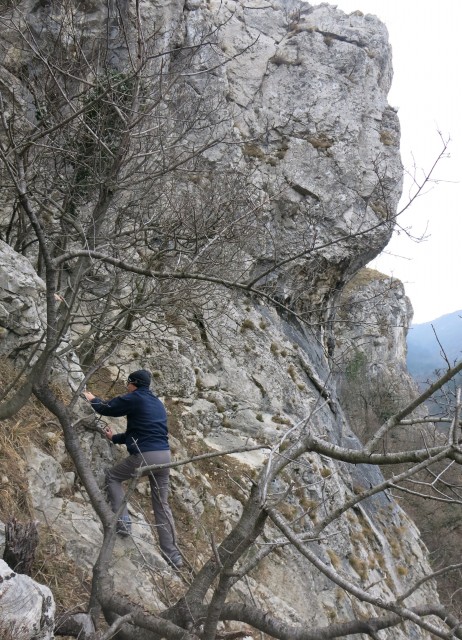 Glinščica, 28.01.2017 - foto