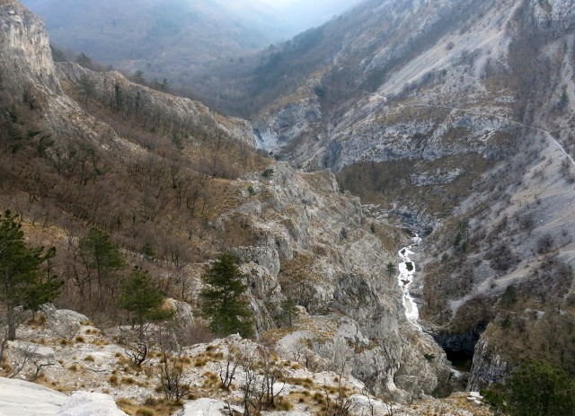 Glinščica, 28.01.2017 - foto