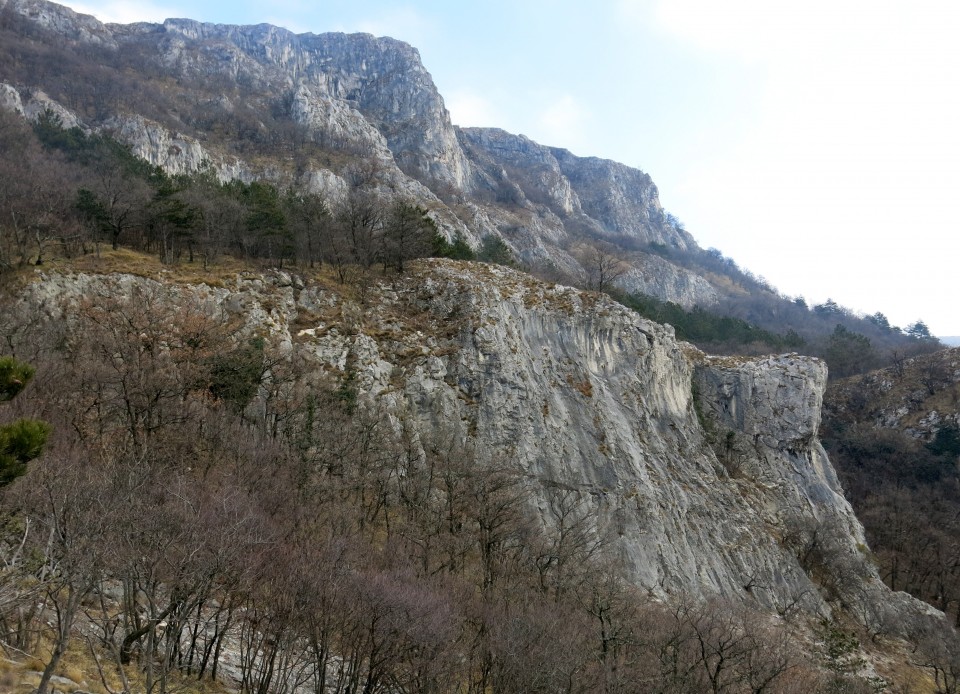 Glinščica, 28.01.2017 - foto povečava