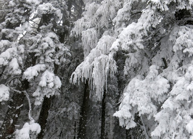 Viševnik nad meglo,  12.02.2017 - foto