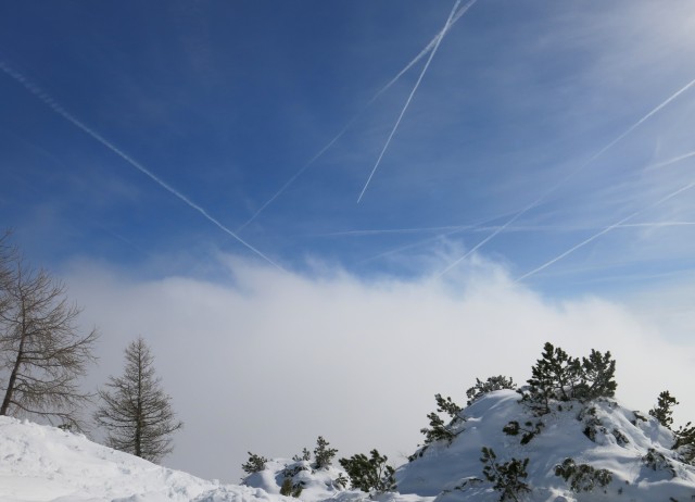 Viševnik nad meglo,  12.02.2017 - foto