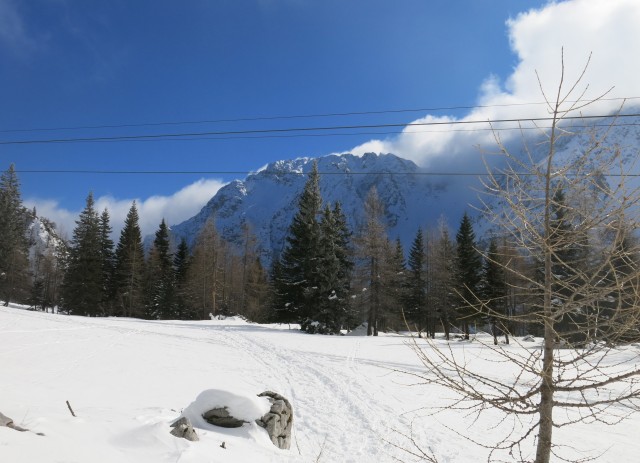 Zelenica, 19.02.2017 - foto