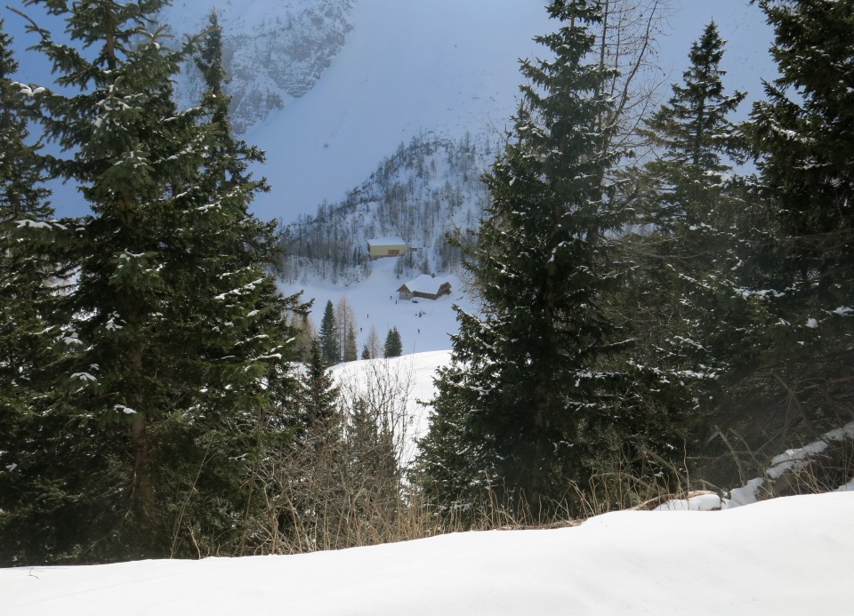 Zelenica, 19.02.2017 - foto povečava