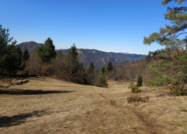 Polhograjska Grmada in Tošč, 08.03.2017 - foto