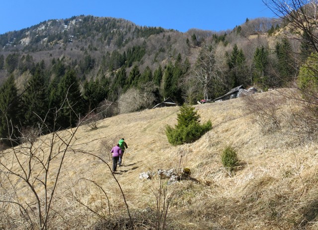 Korošaški + Kamniški vrh,  11.03.2017 - foto