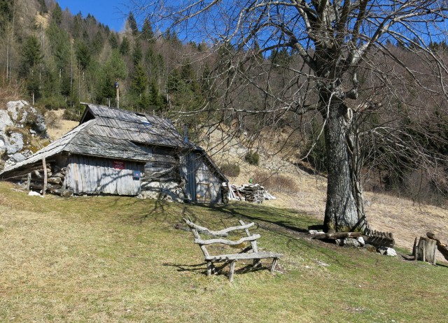 Korošaški + Kamniški vrh,  11.03.2017 - foto