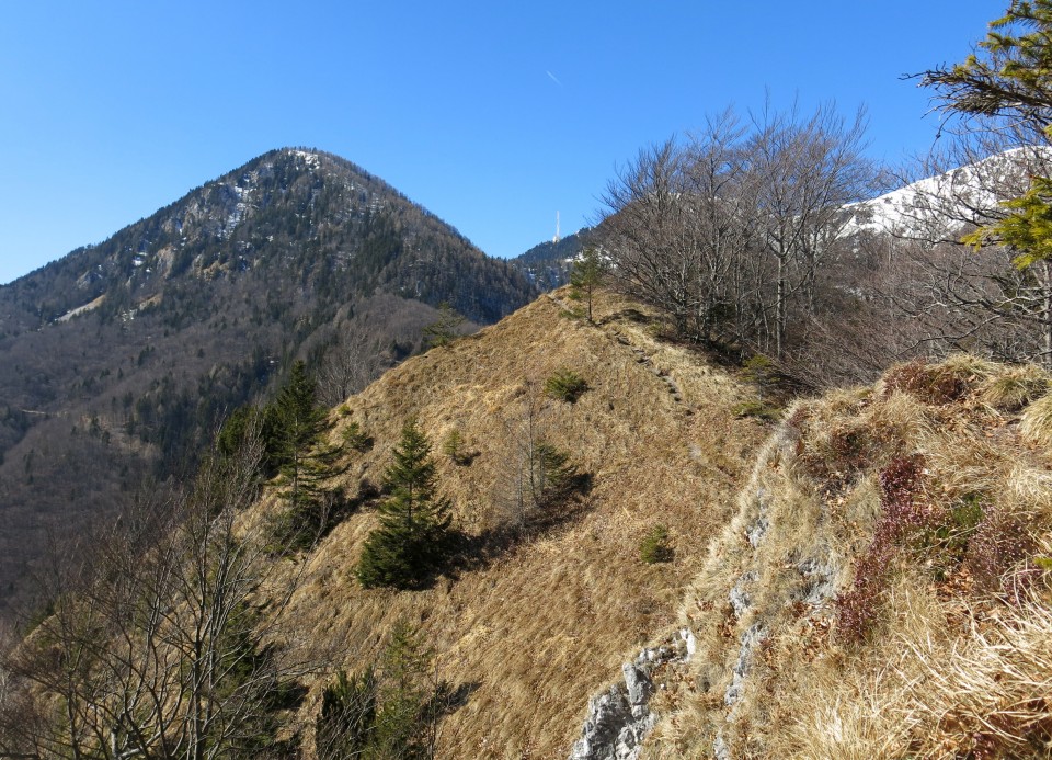 Korošaški + Kamniški vrh,  11.03.2017 - foto povečava