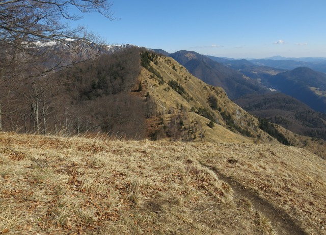 Korošaški + Kamniški vrh,  11.03.2017 - foto