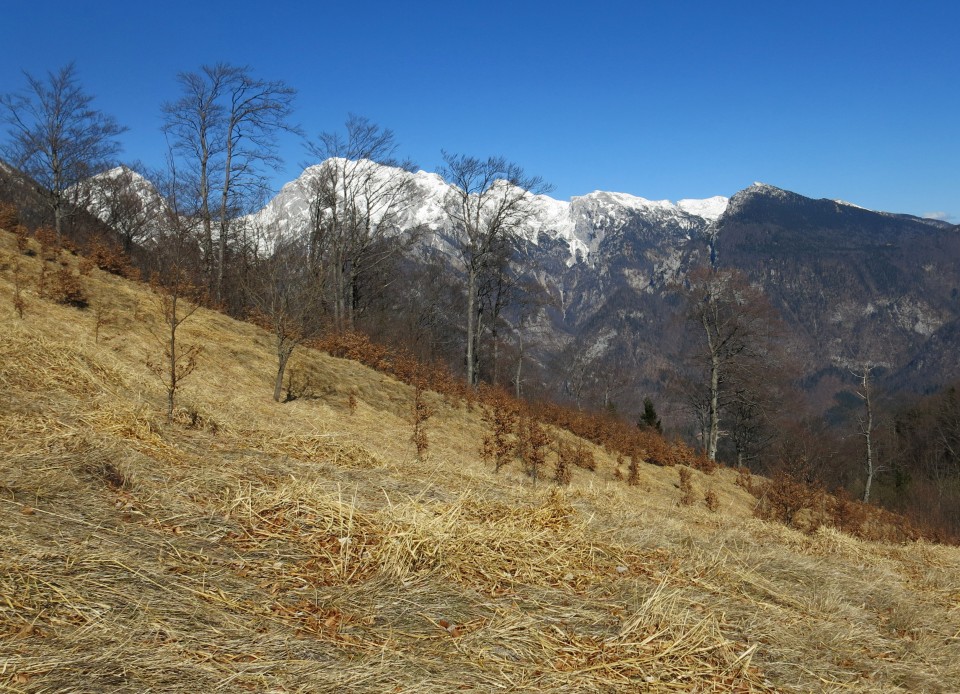 Korošaški + Kamniški vrh,  11.03.2017 - foto povečava