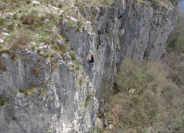 črni kal z blažem, 23.03.2017 - foto