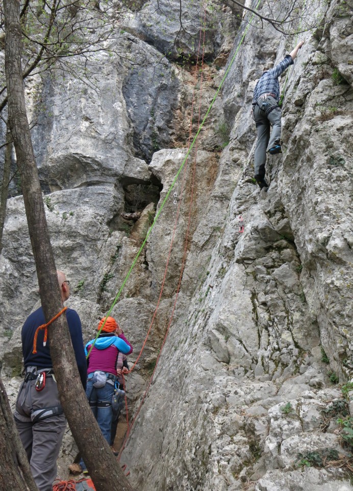 črni kal z blažem, 23.03.2017 - foto povečava