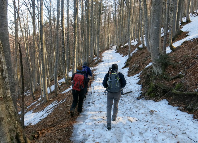 Snežnik, 25.03.2017 - foto