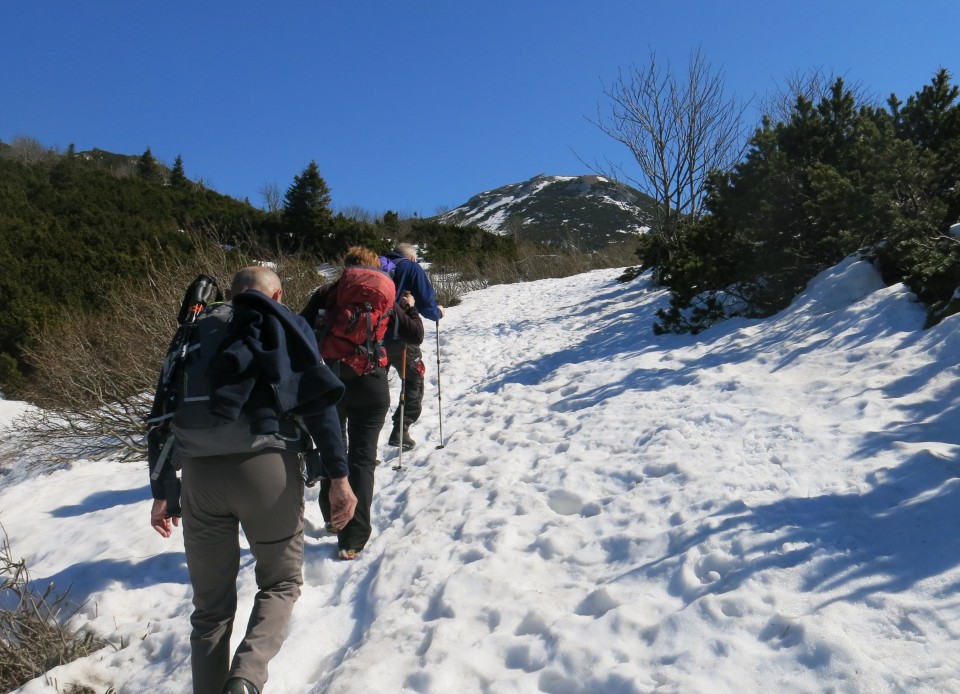 Snežnik, 25.03.2017 - foto povečava