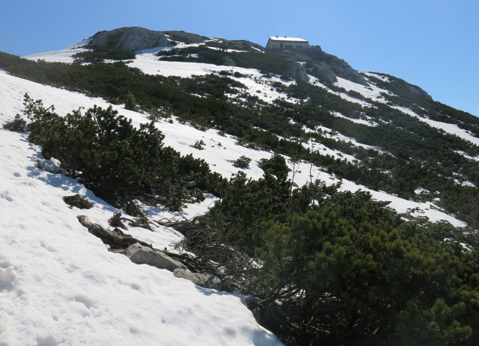 Snežnik, 25.03.2017 - foto povečava