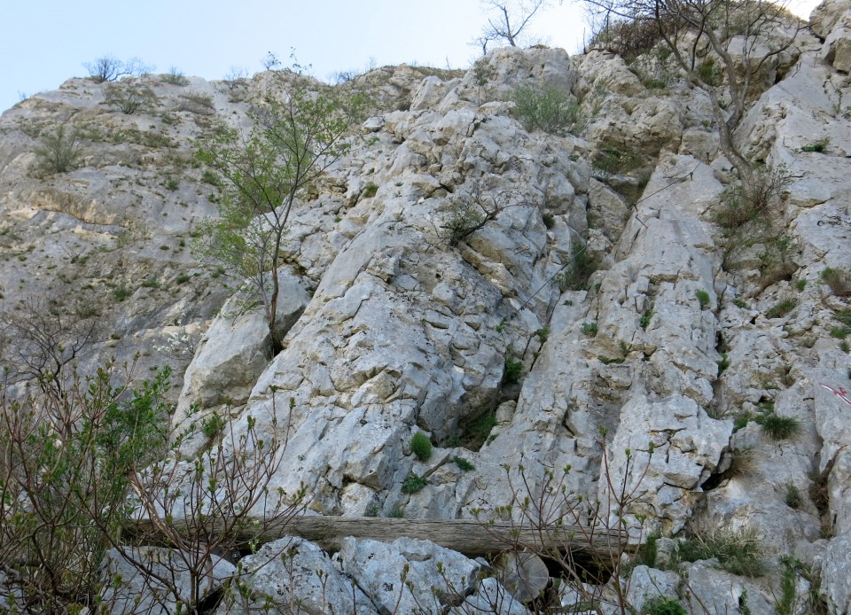 Gradiška tura,  29.03.2017 - foto povečava