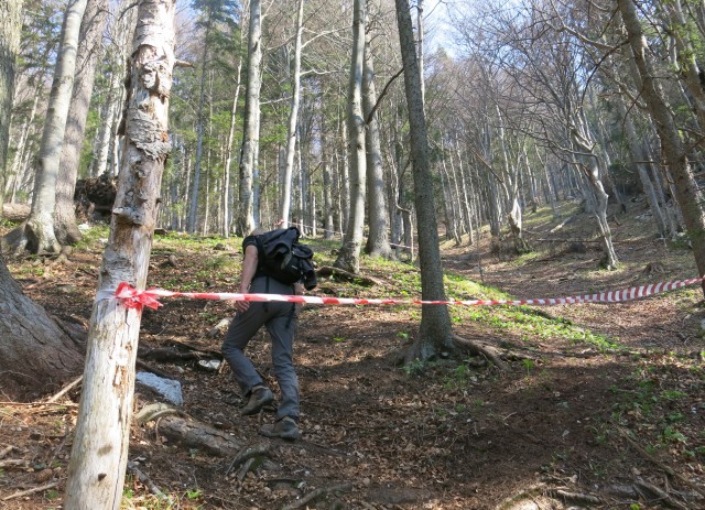 Kališče,  04.04.2017 - foto