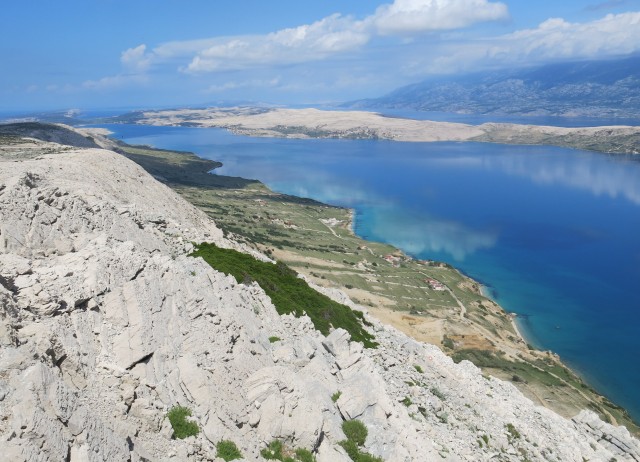 Pag in žajbelj v cvetju, 13.05.2017 - foto