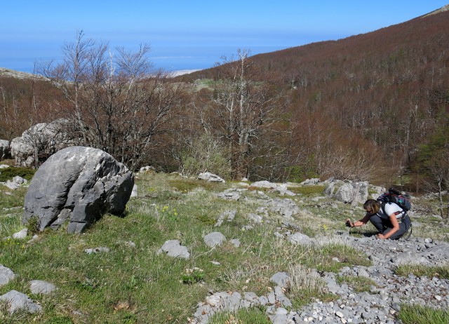 Zečjak 1622m - S. Velebit, 14.05.2017 - foto