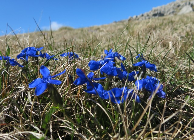 Zečjak 1622m - S. Velebit, 14.05.2017 - foto