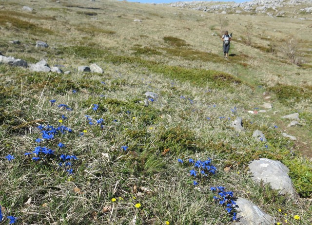 Zečjak 1622m - S. Velebit, 14.05.2017 - foto