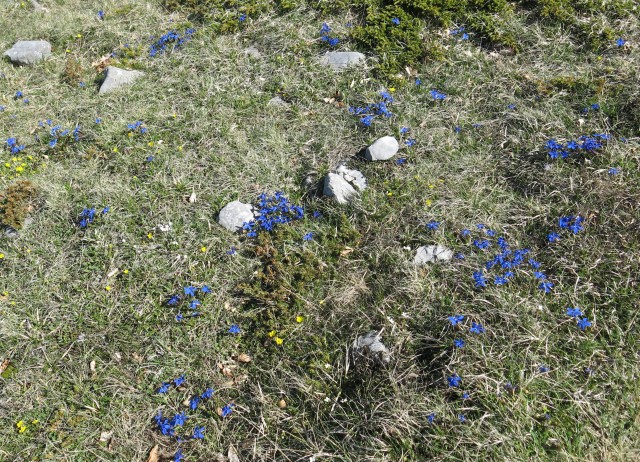 Zečjak 1622m - S. Velebit, 14.05.2017 - foto