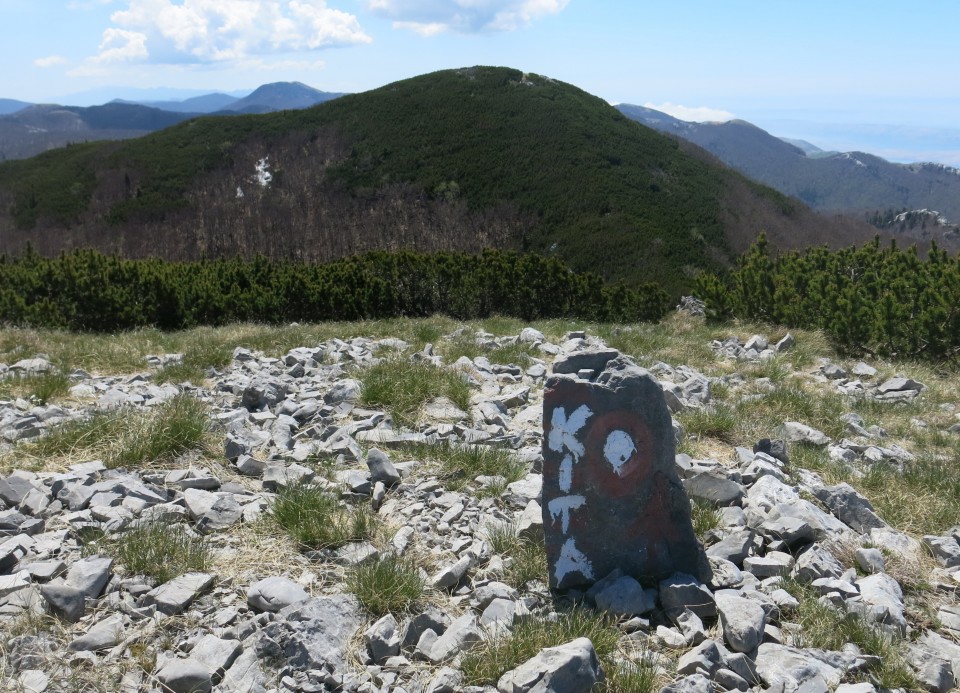 Zečjak 1622m - S. Velebit, 14.05.2017 - foto povečava