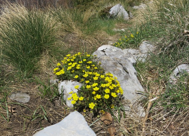 Zečjak 1622m - S. Velebit, 14.05.2017 - foto