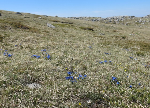 Zečjak 1622m - S. Velebit, 14.05.2017 - foto