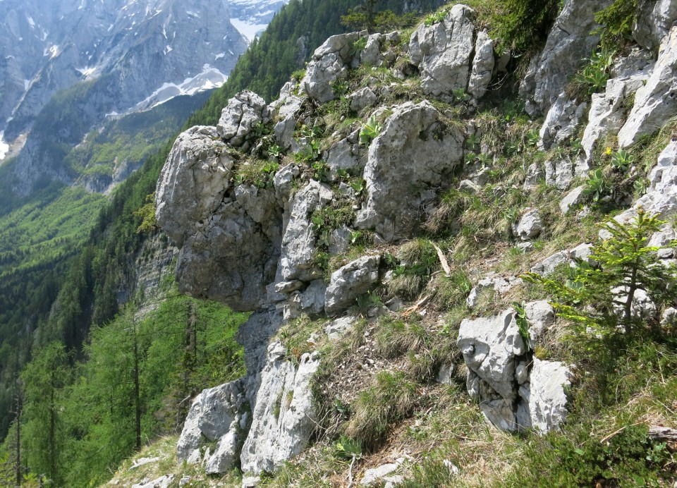 Brinova glava, 19.05.2017 - foto povečava