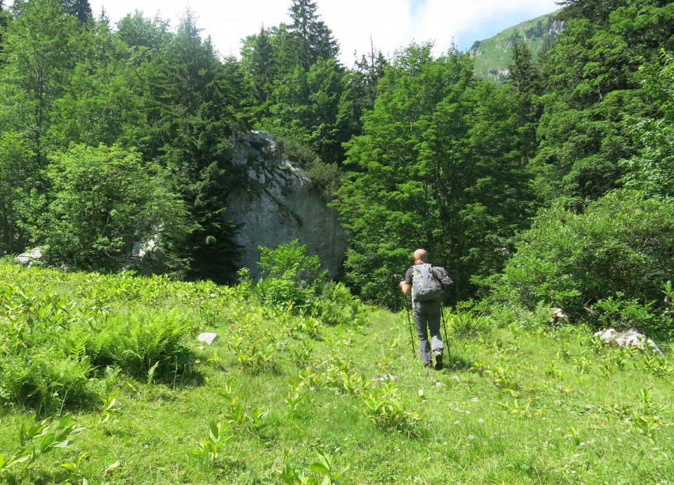 Orožnova koča in Lisec,  06.07.2017 - foto povečava