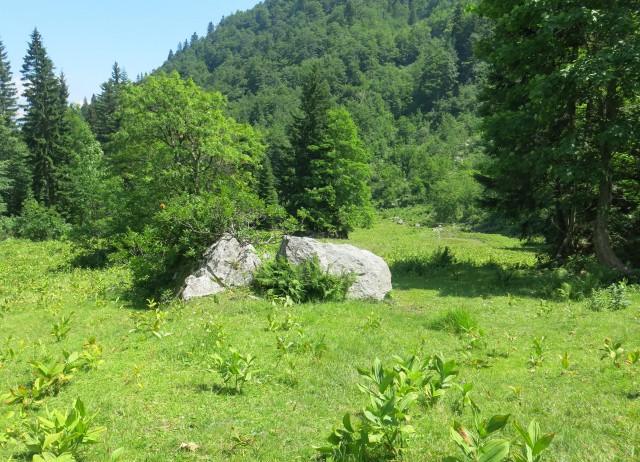 Orožnova koča in Lisec,  06.07.2017 - foto